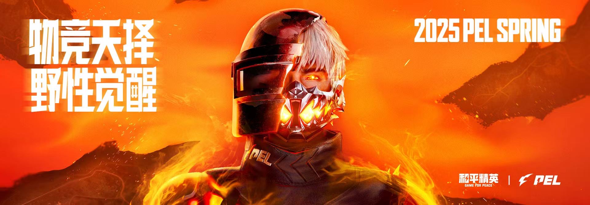 使用和平精英辅助封号吗?